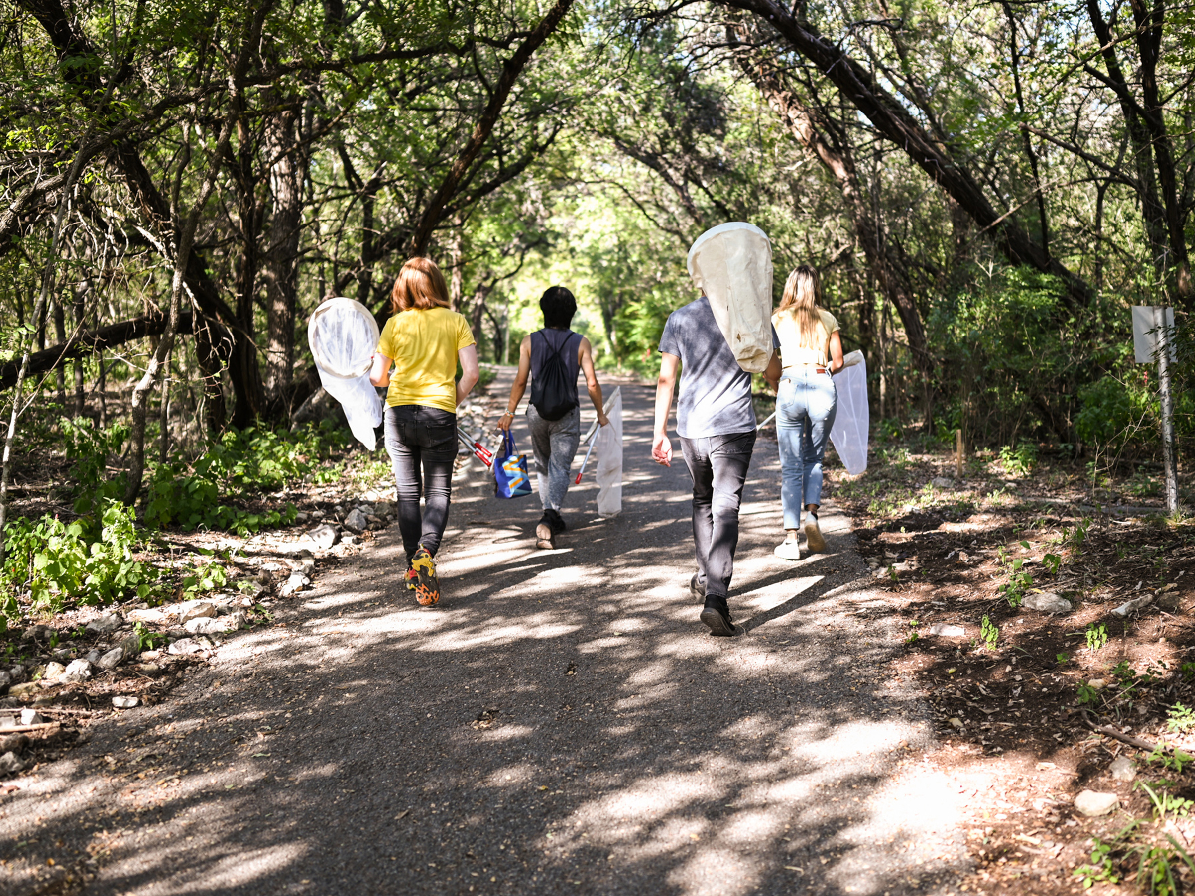 Photograph of students walking on a trail in the woods at BFL