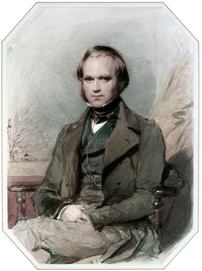 darwin