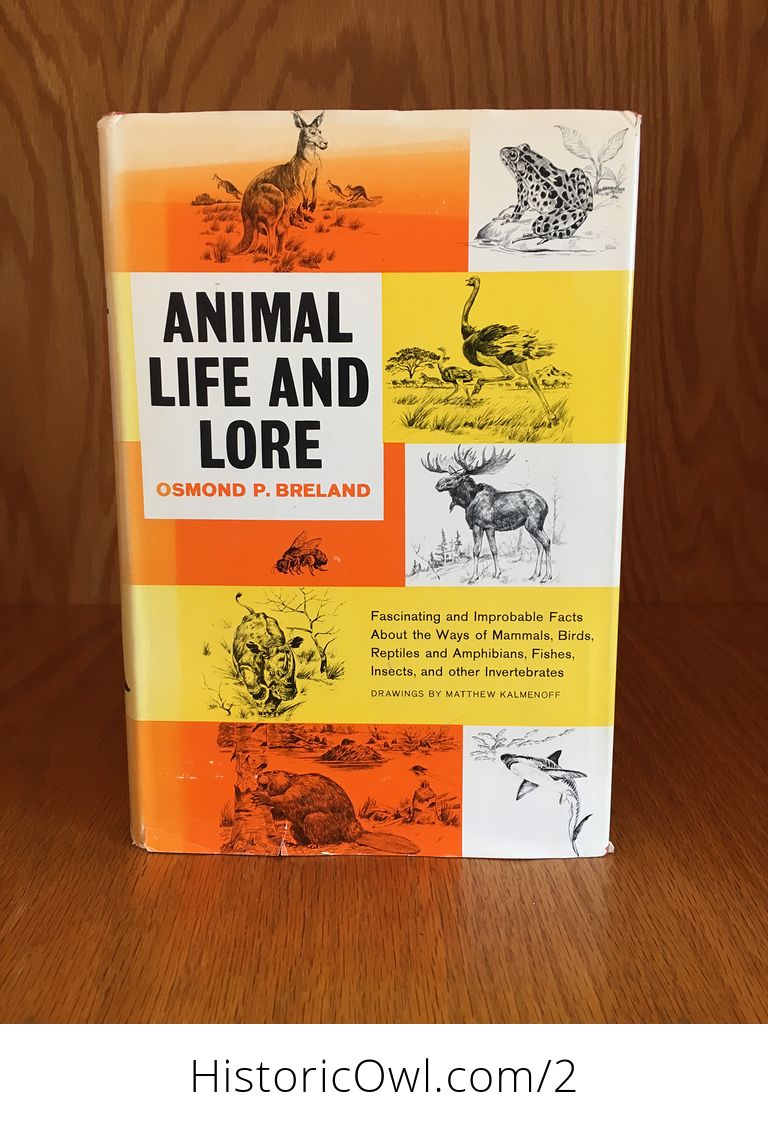 breland-illustrated-book