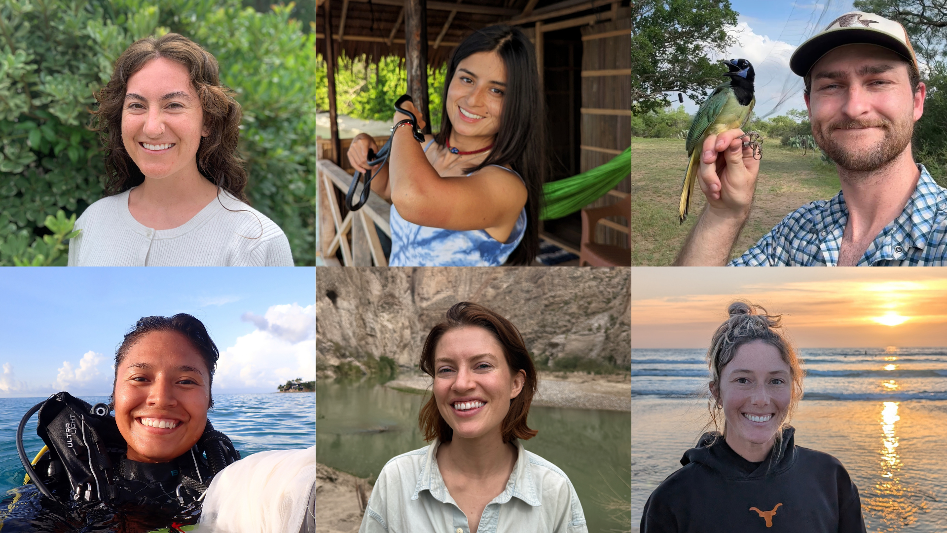 the Stengl Wyer scholars and fellows