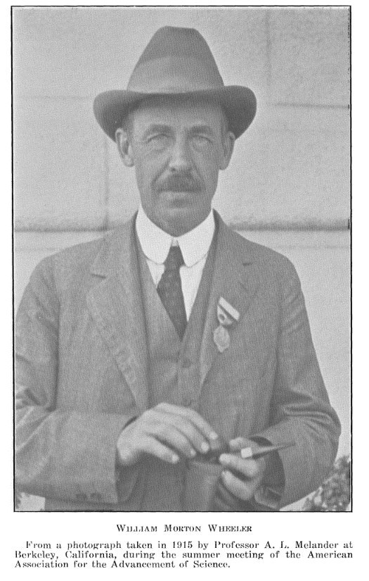 1915